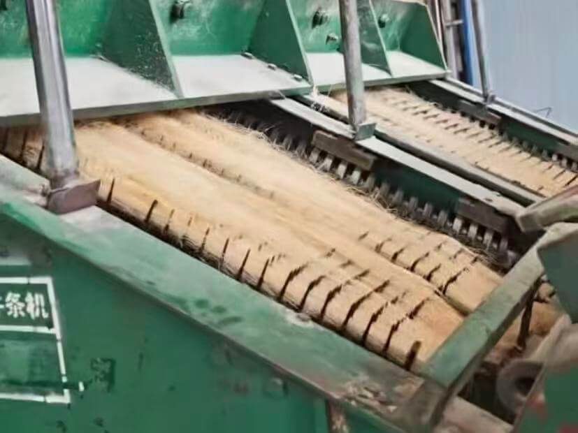 Carding machine processing sisal fiber